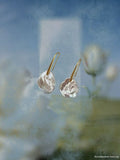 Flora Drop